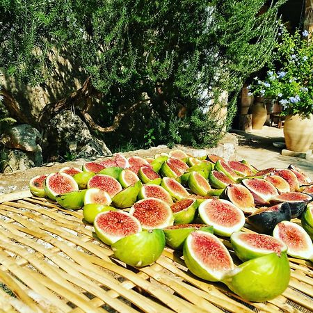טריקאסה Masseria Borgo Del Gallo מראה חיצוני תמונה