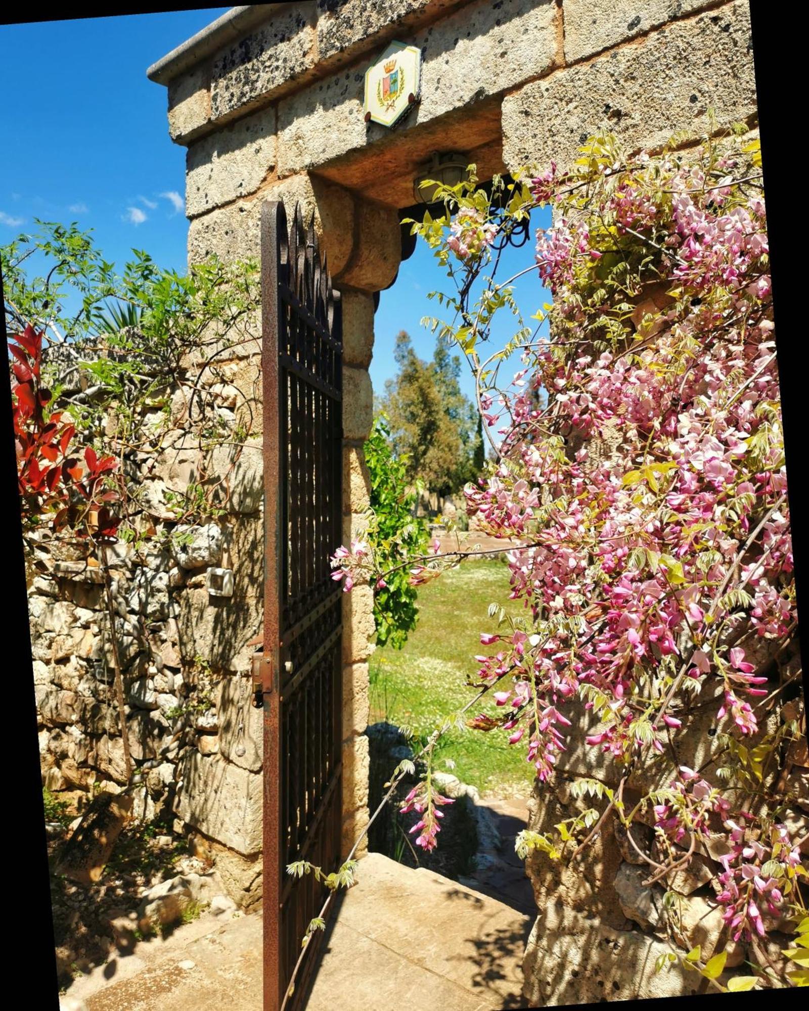 טריקאסה Masseria Borgo Del Gallo מראה חיצוני תמונה