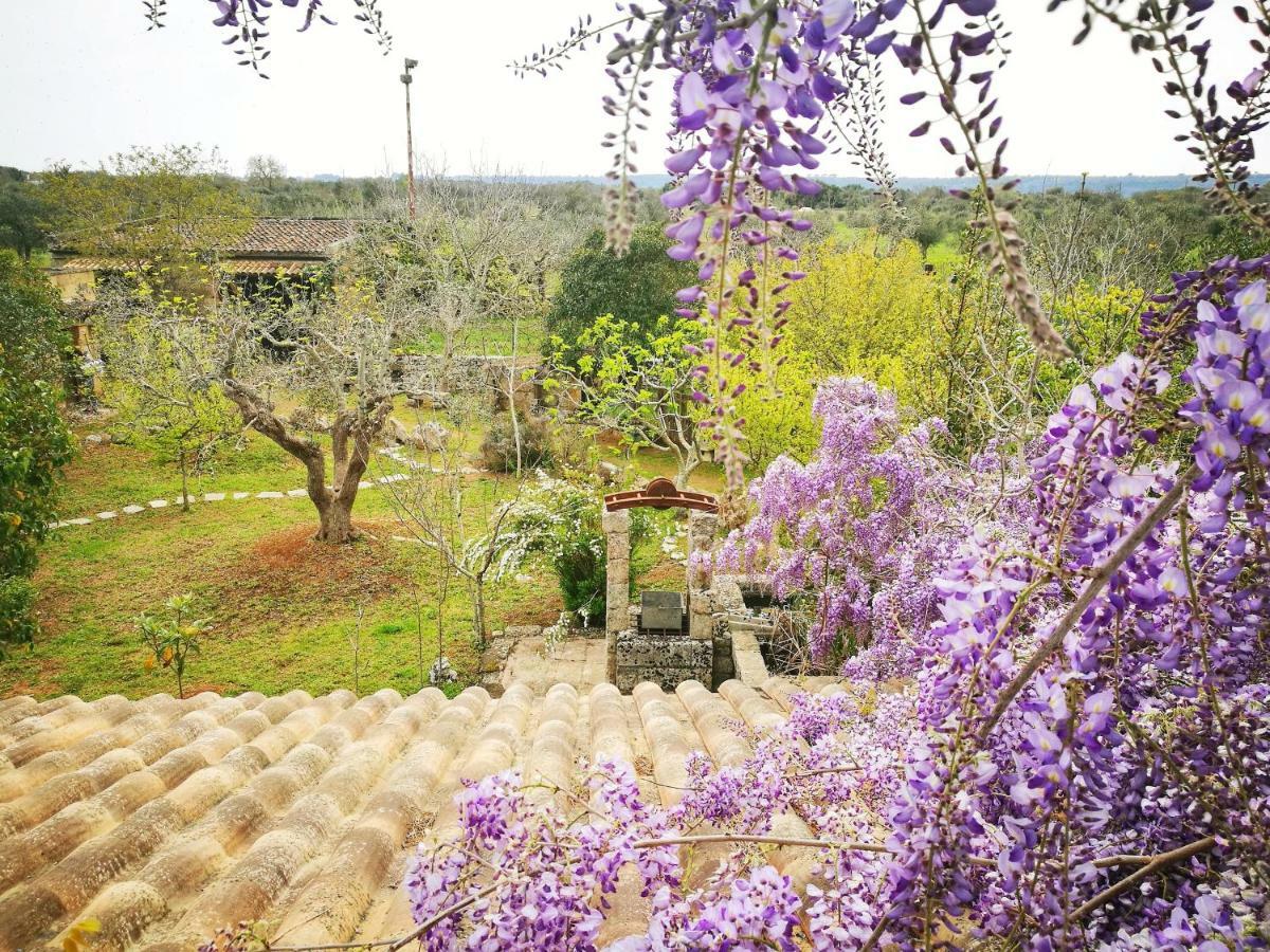 טריקאסה Masseria Borgo Del Gallo מראה חיצוני תמונה